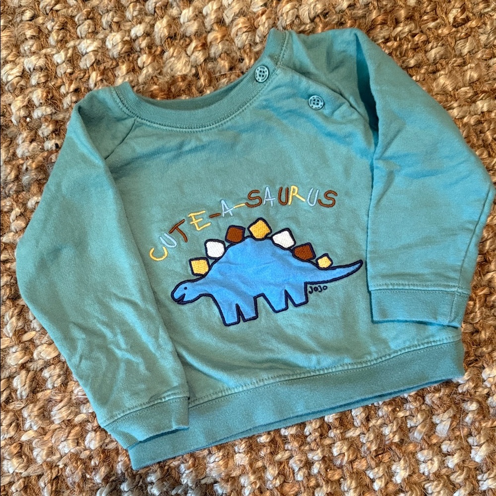 Soft Green Cotton Sweatshirt